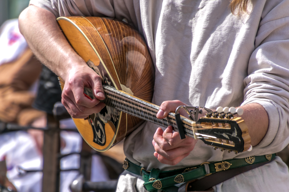 a close up photo of a man playing a celtic instrument at a celtic music festival in florida 