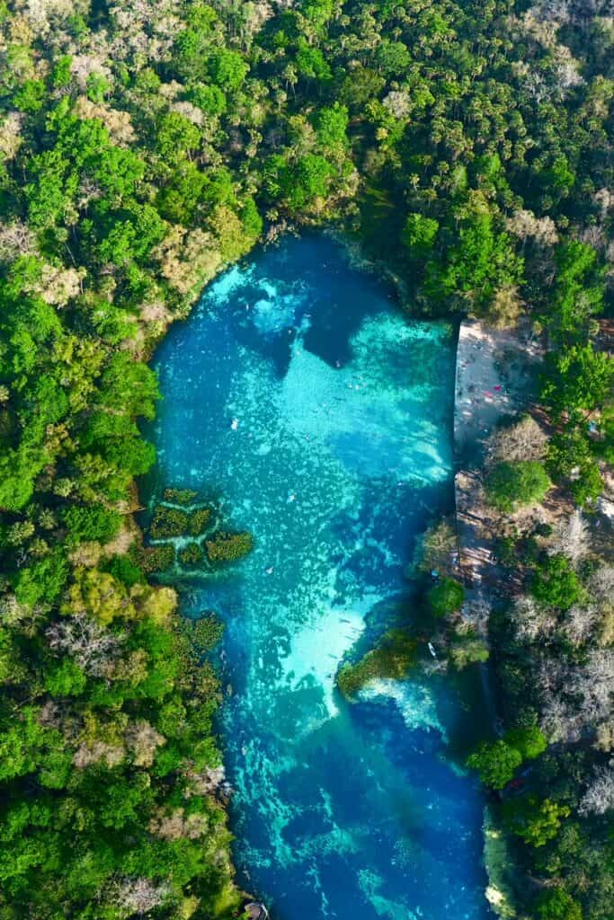 aerial photo of a stunning spring in florida, there are dense trees on both sides of the water