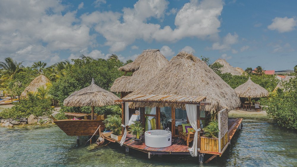 Thatched overwater bungalow with bath outside. One of the 