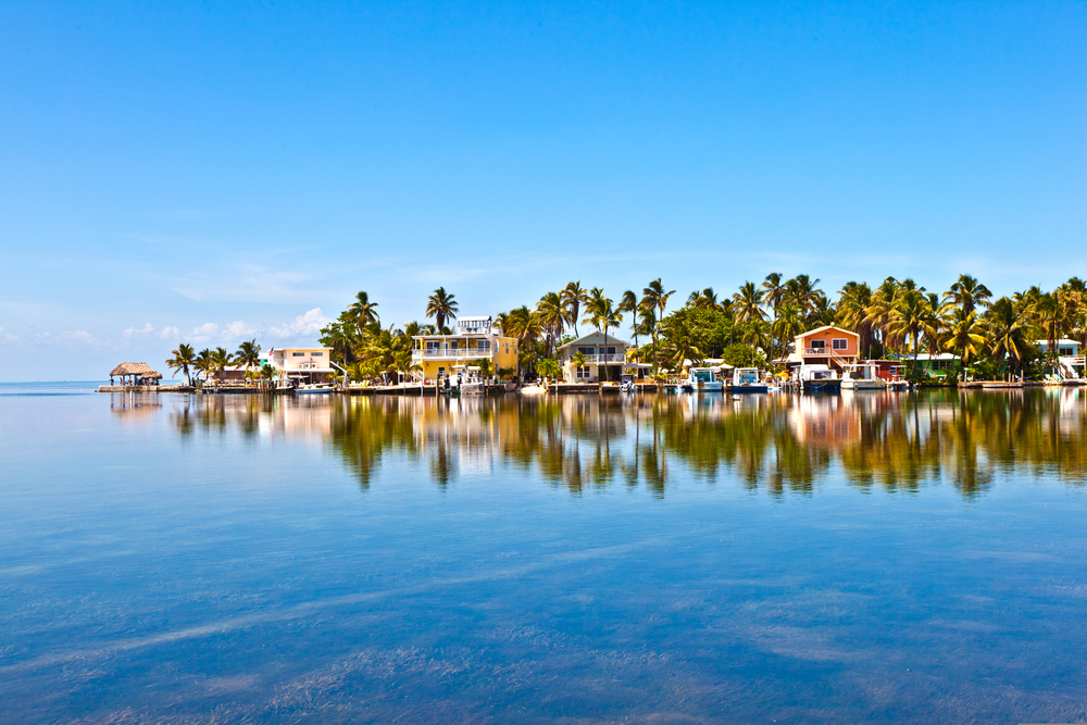 A shot of the coast of Key West reveals palm trees and water and colorful homes, all things to explore when you know mistakes to avoid in Key West.